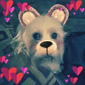 Meet your Posher, Candace